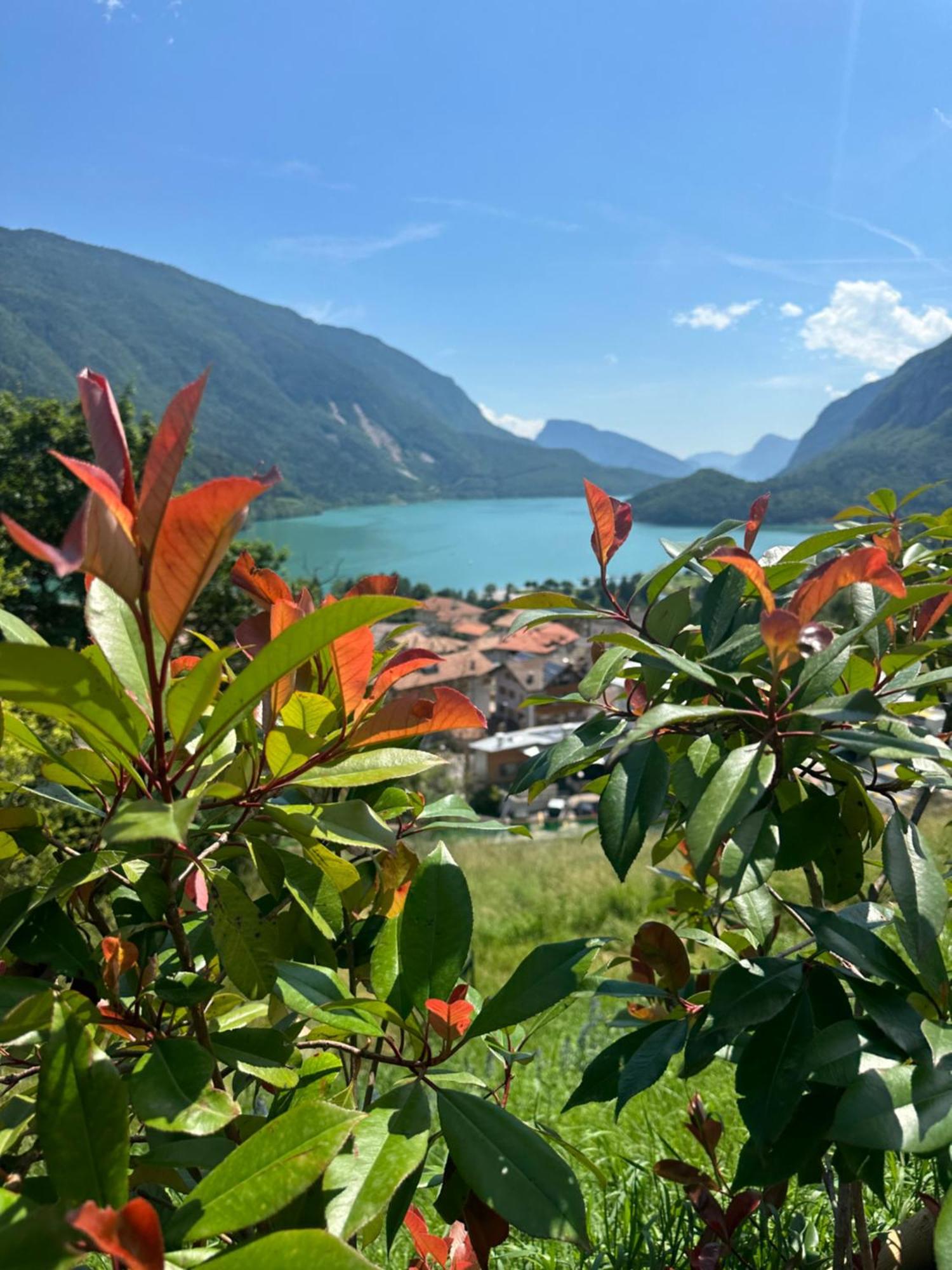 Villa La Dama Del Lago Molveno Luaran gambar